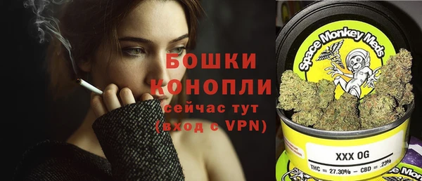 мяу мяу мука Абаза