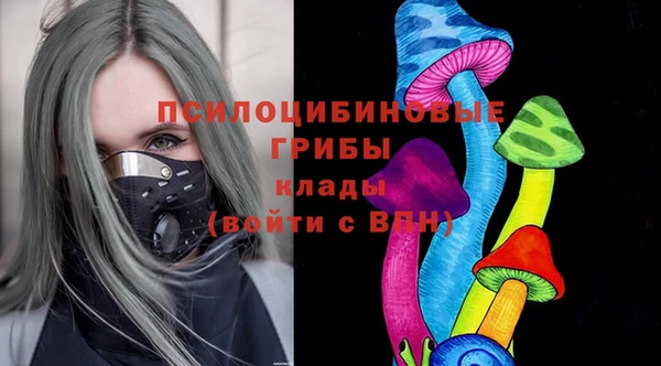 Альфа ПВП Снежинск