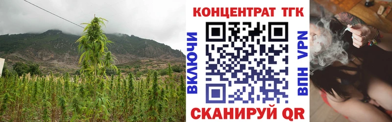 ТГК THC oil  Весьегонск 